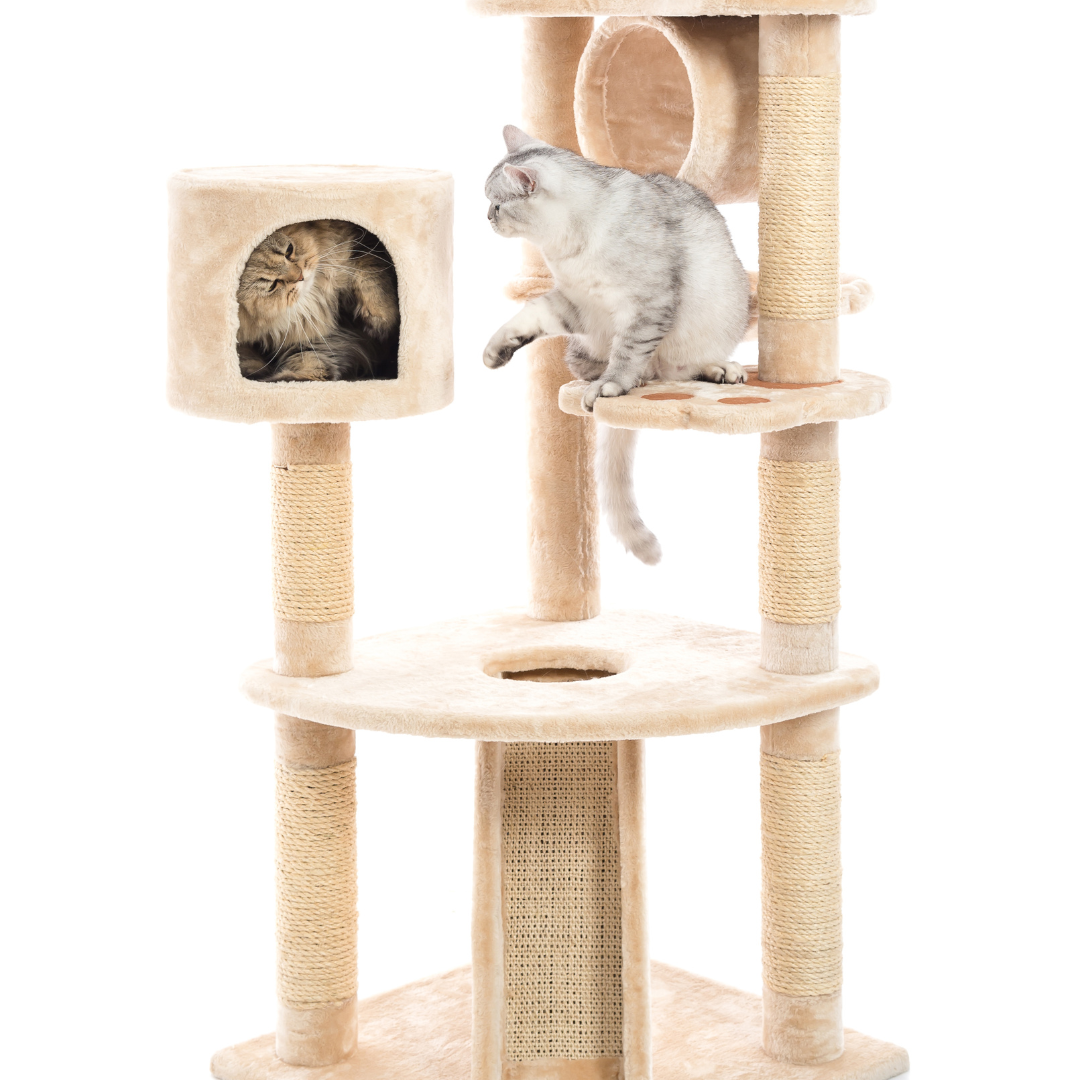 Cat Furniture