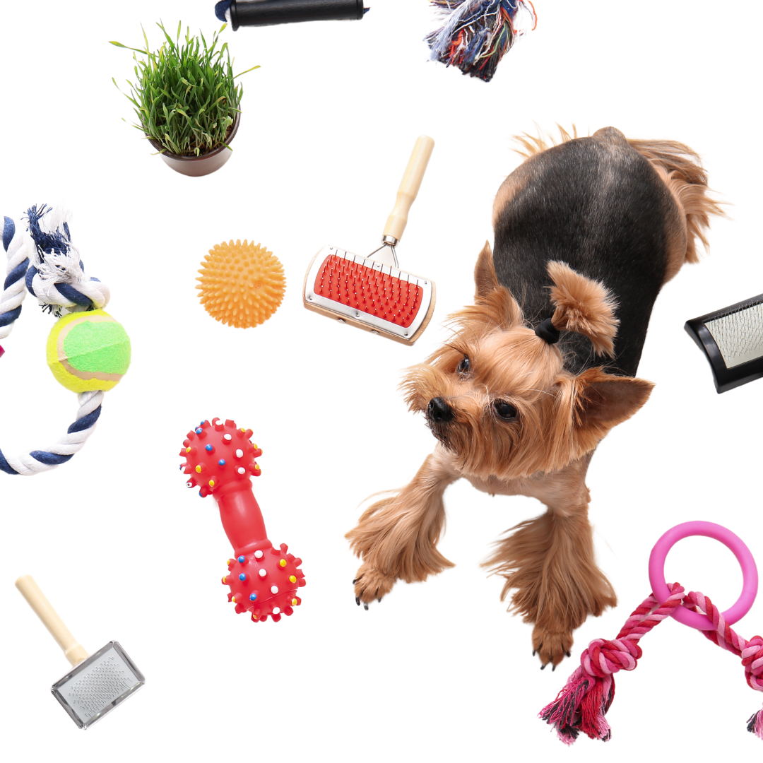 Pet Shop