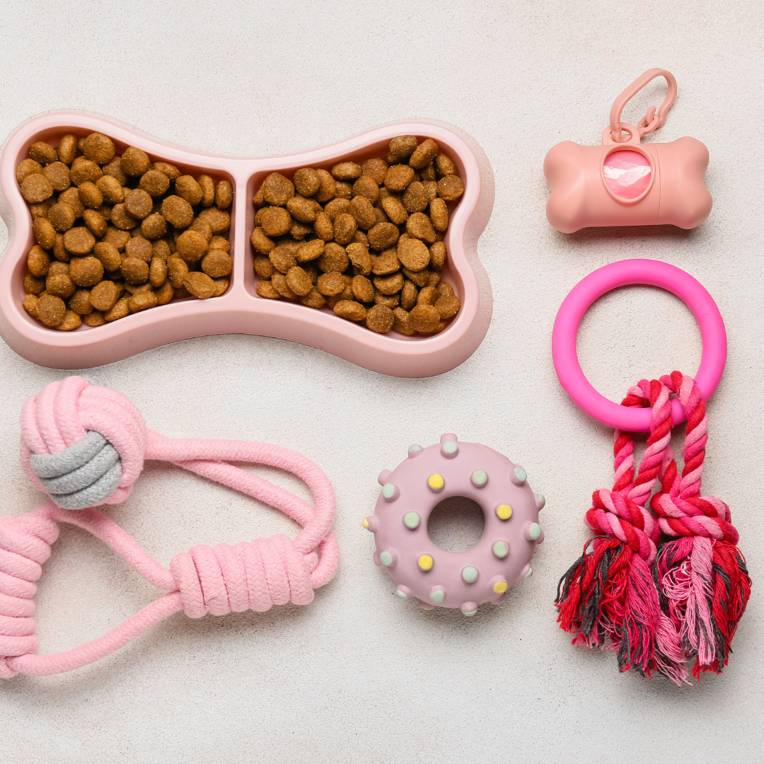 What Your Pet Needs