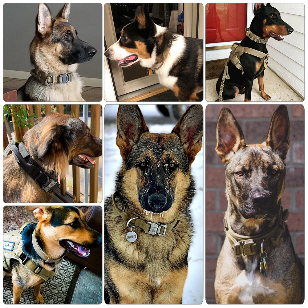 Tactical Dog Collar And Leash Set