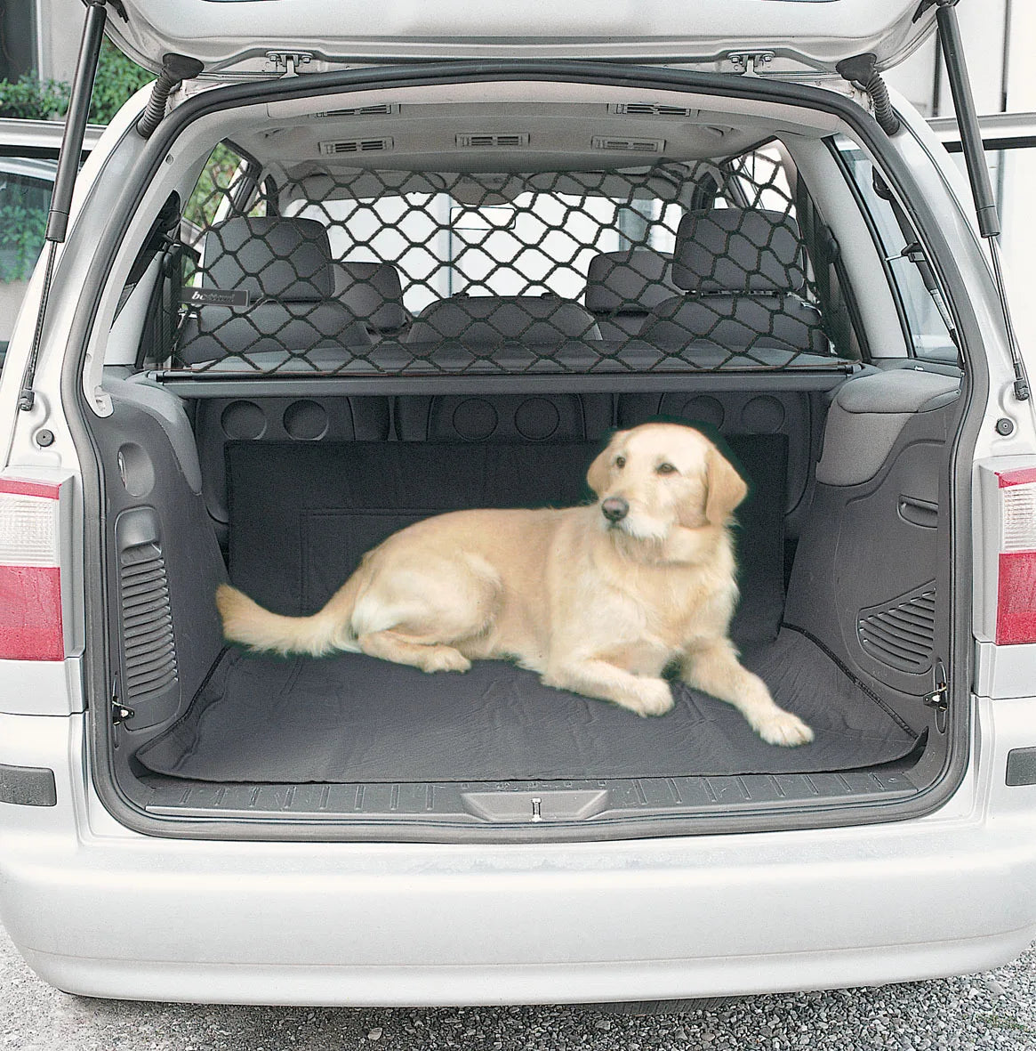 Dog Carrier Barrier Trunk