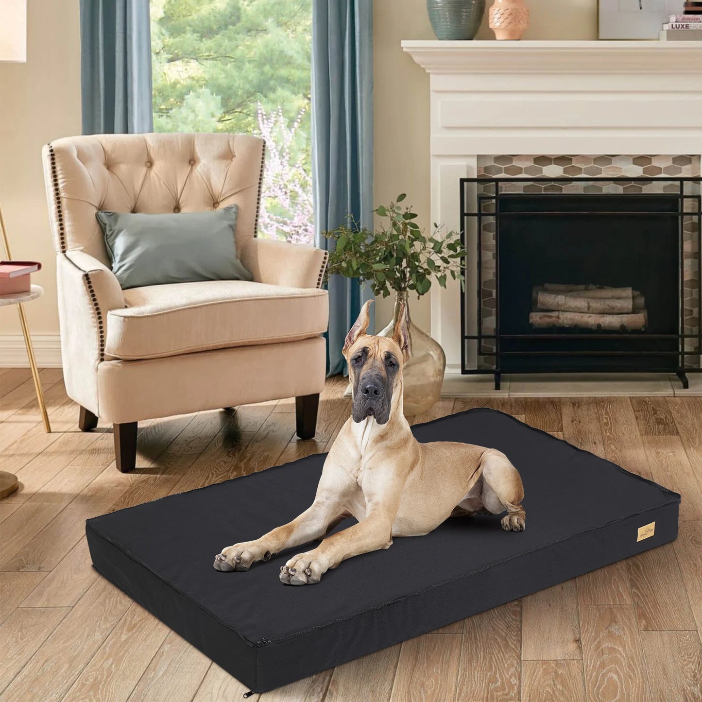 Dog Bed
