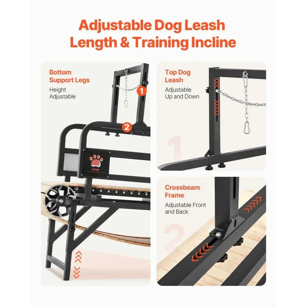 Dog Treadmill
