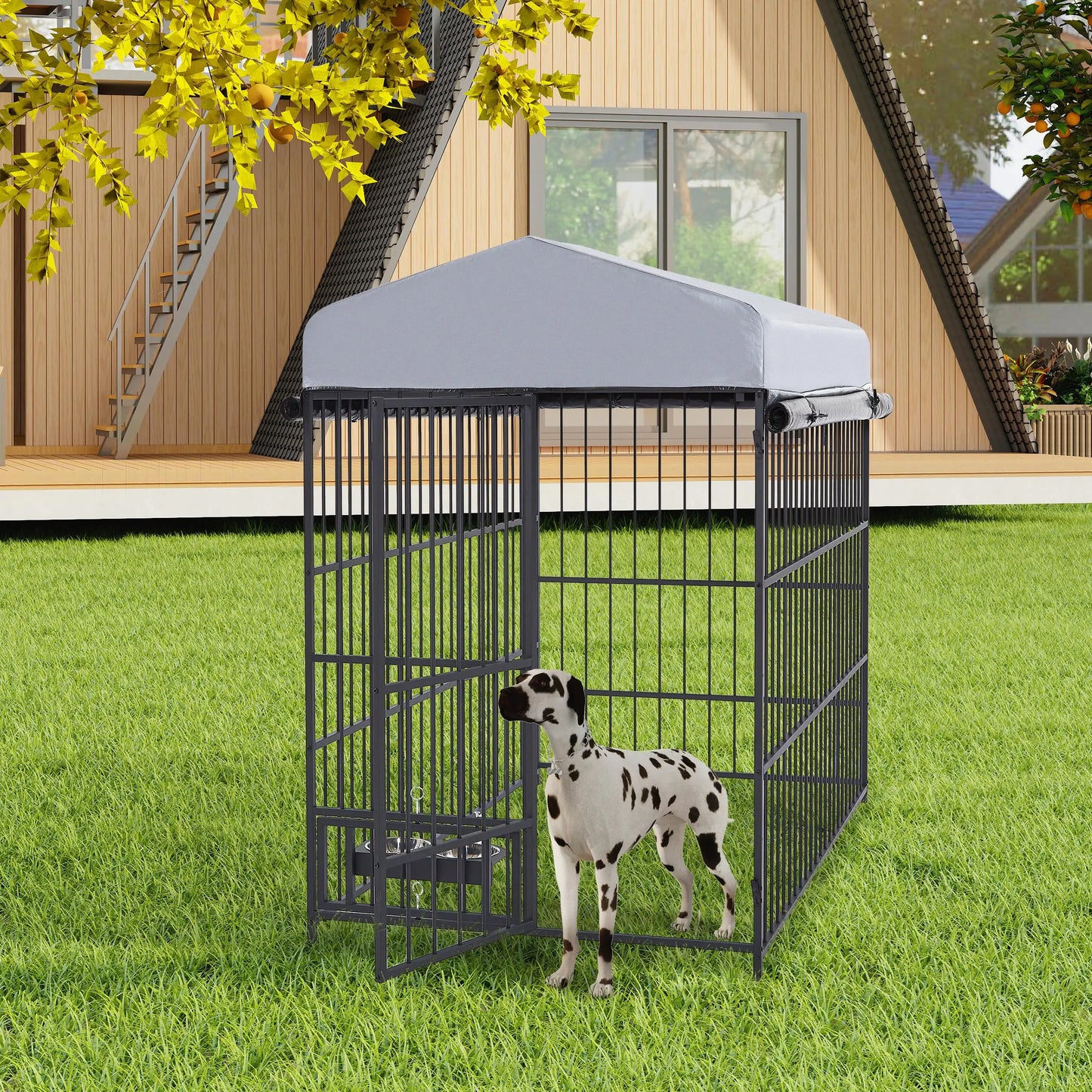Dog Kennel Outdoor