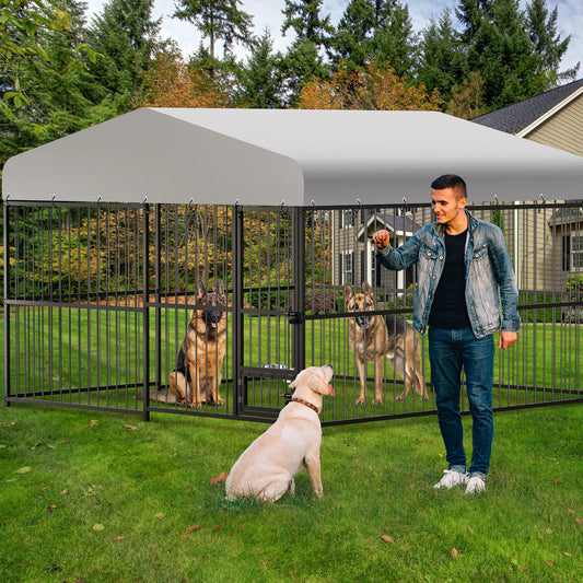 Dog Kennel