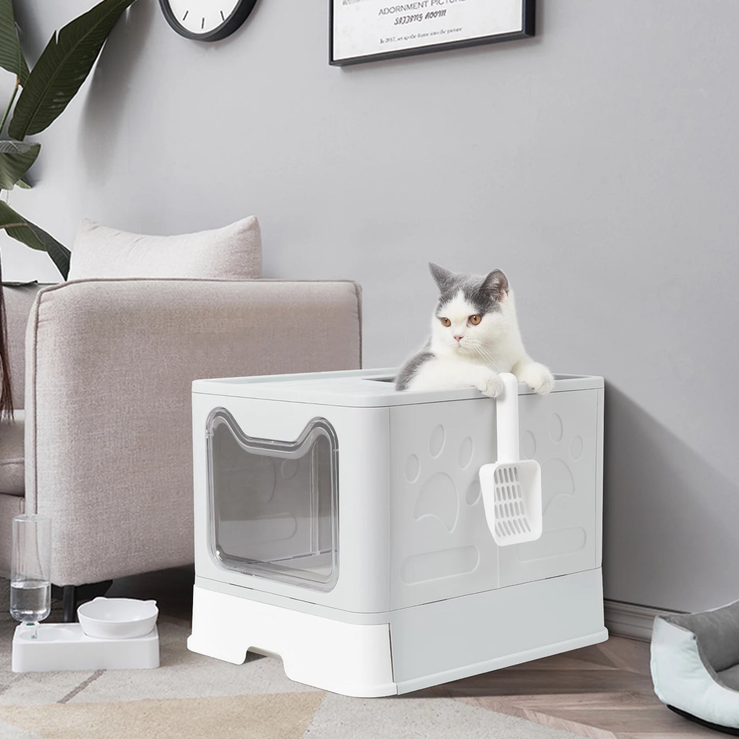 Cat Litter Box with Lid