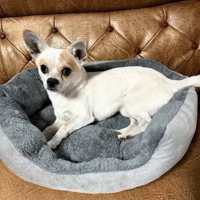 Dog Bed Pets
