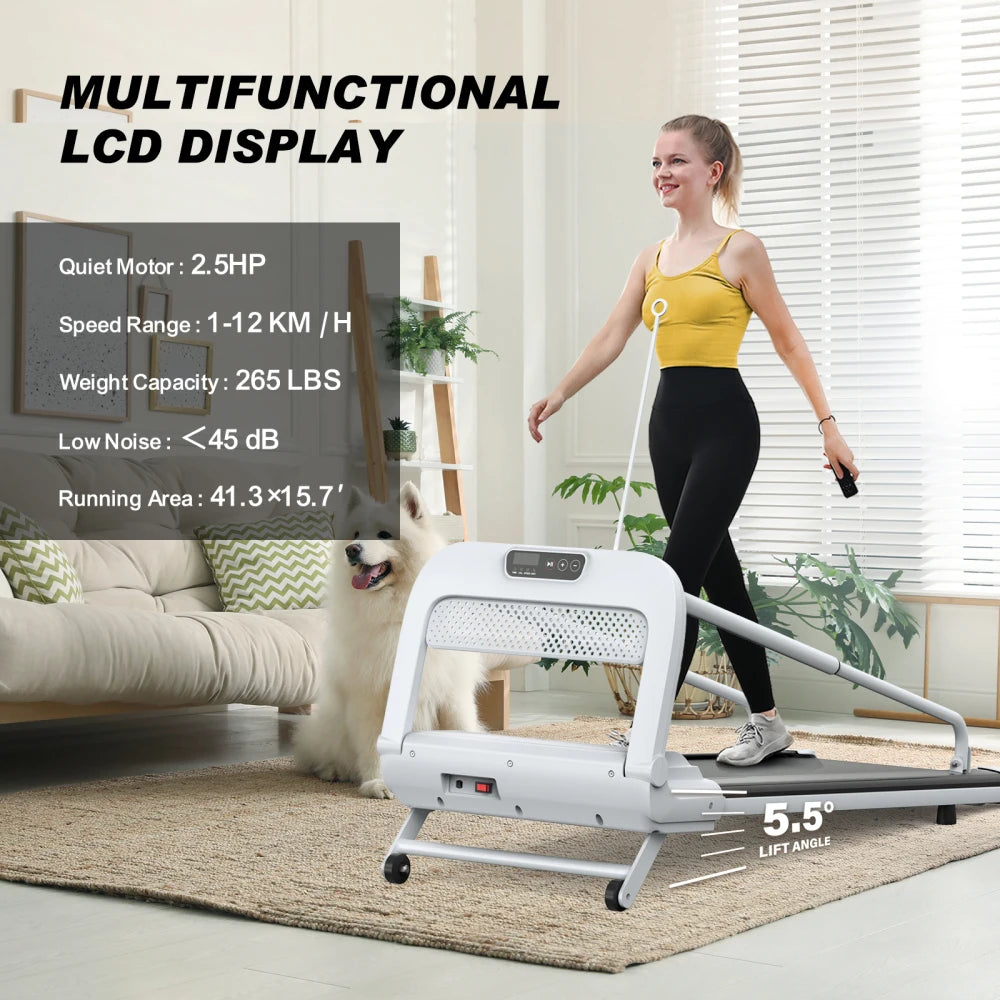 Pet Treadmill