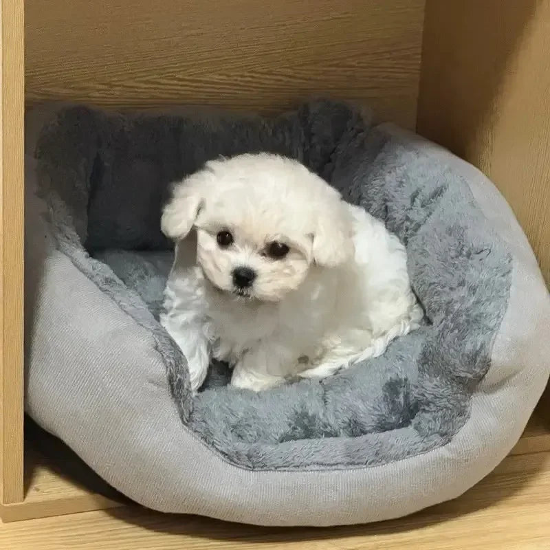 Dog Bed Pets