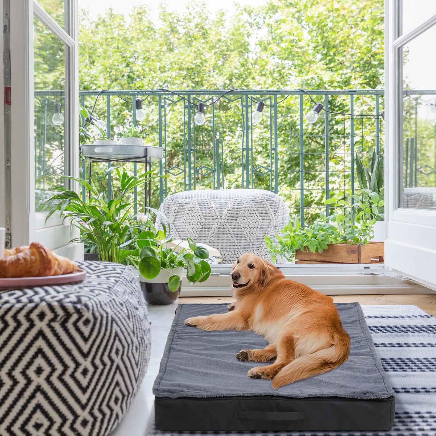 Dog Bed