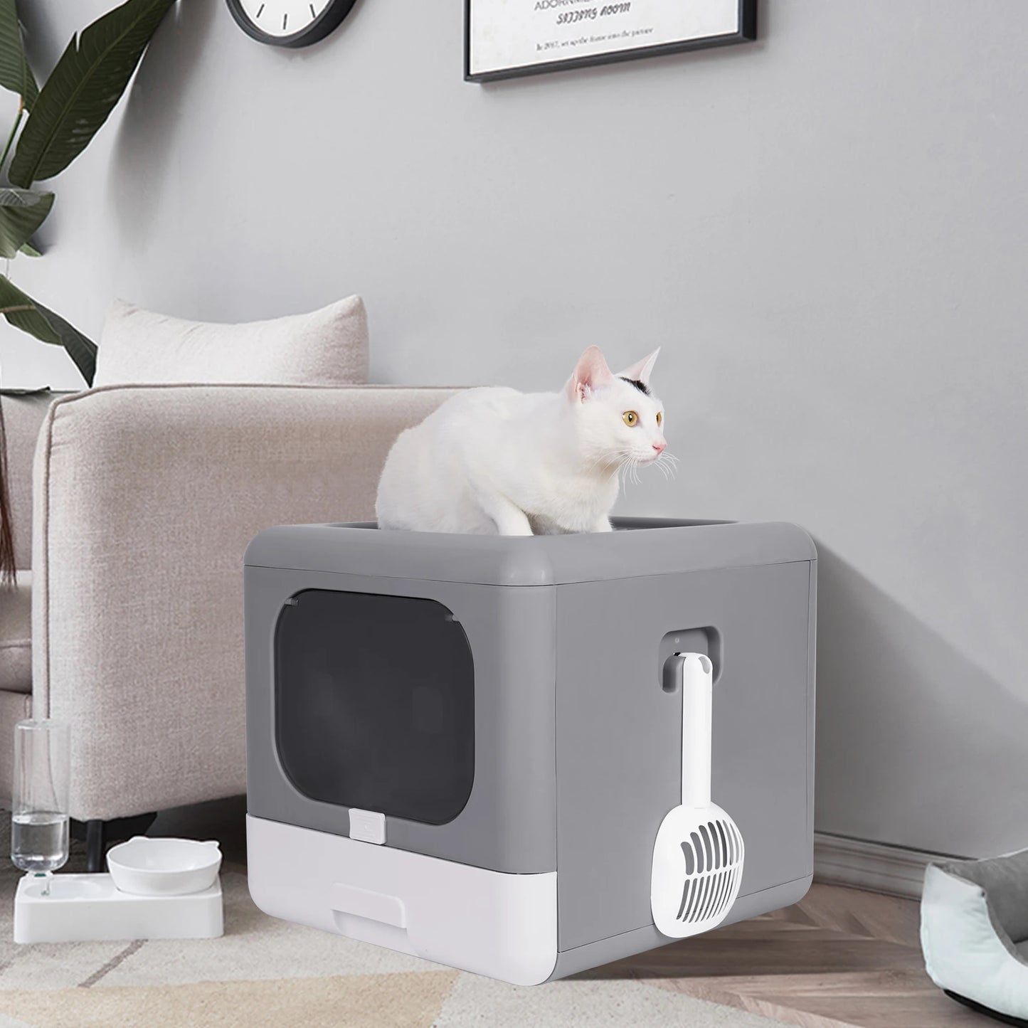 Cat Litter Box with Lid