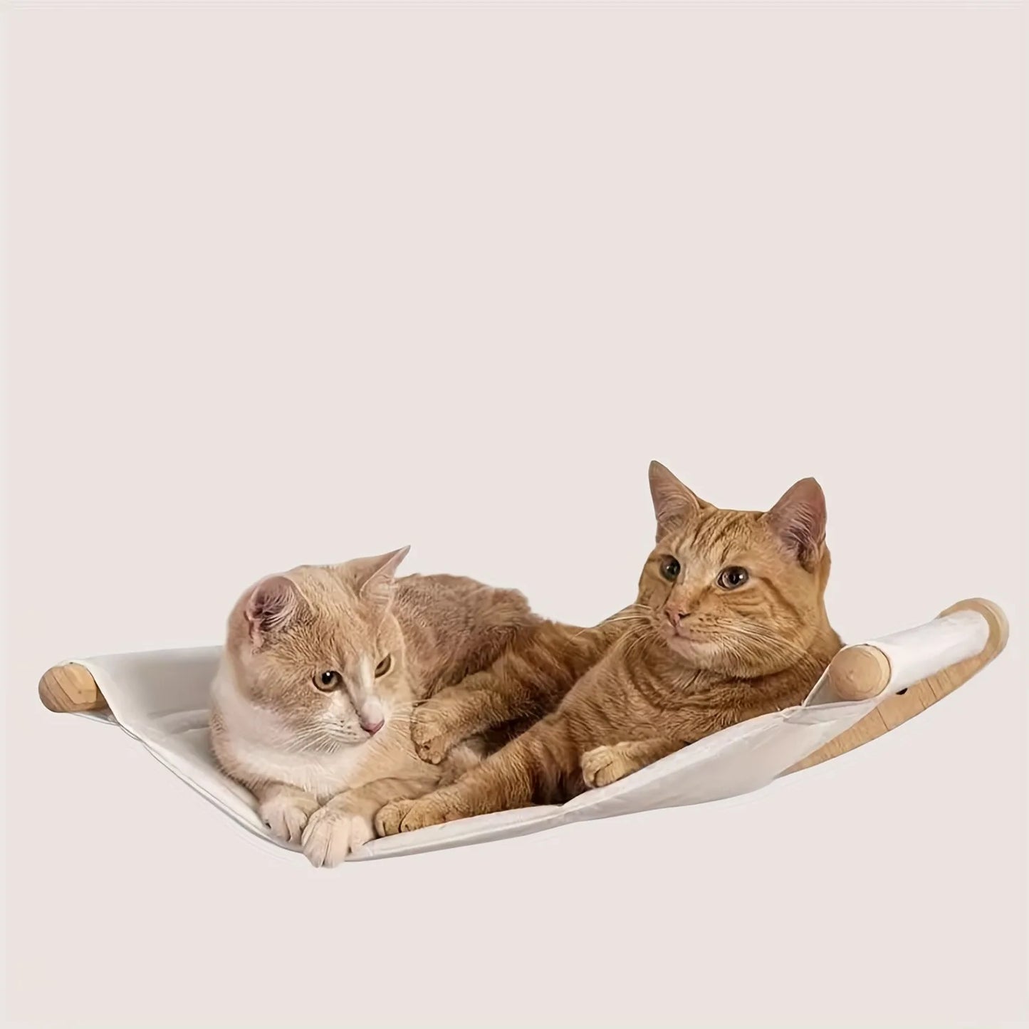 Hammock Wall Mounted Cat Shelf