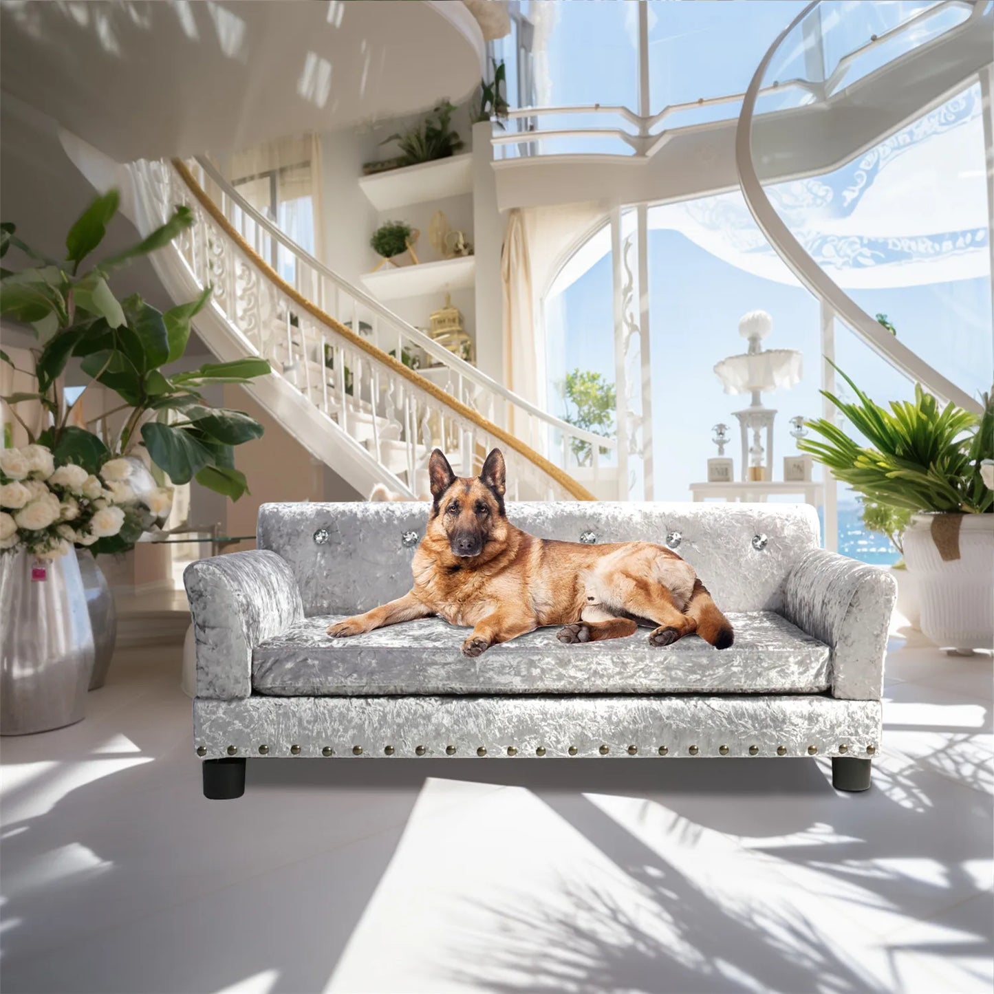 Dog Sofa Bed