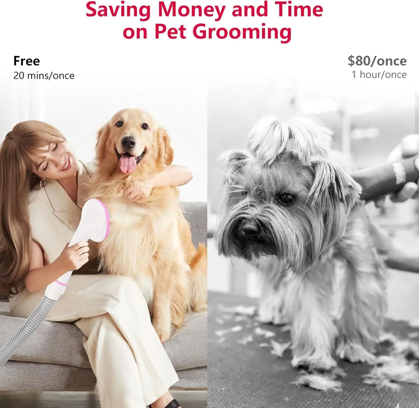 Hair Vacuum Groomer