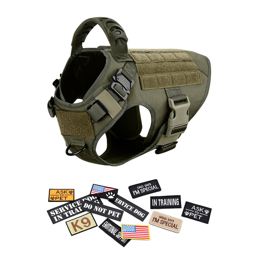 Dog Harness Collar Leash Bags Patches Set