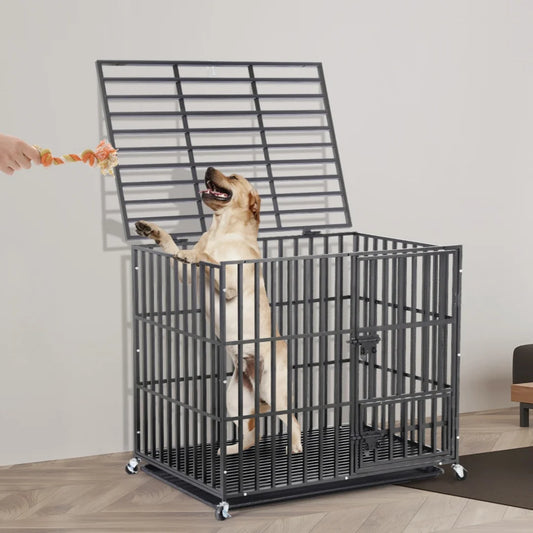 Metal Pet Kennel