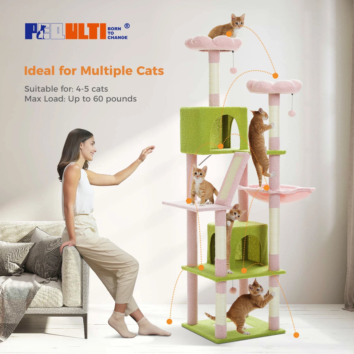 Multi-Level Cat Tree