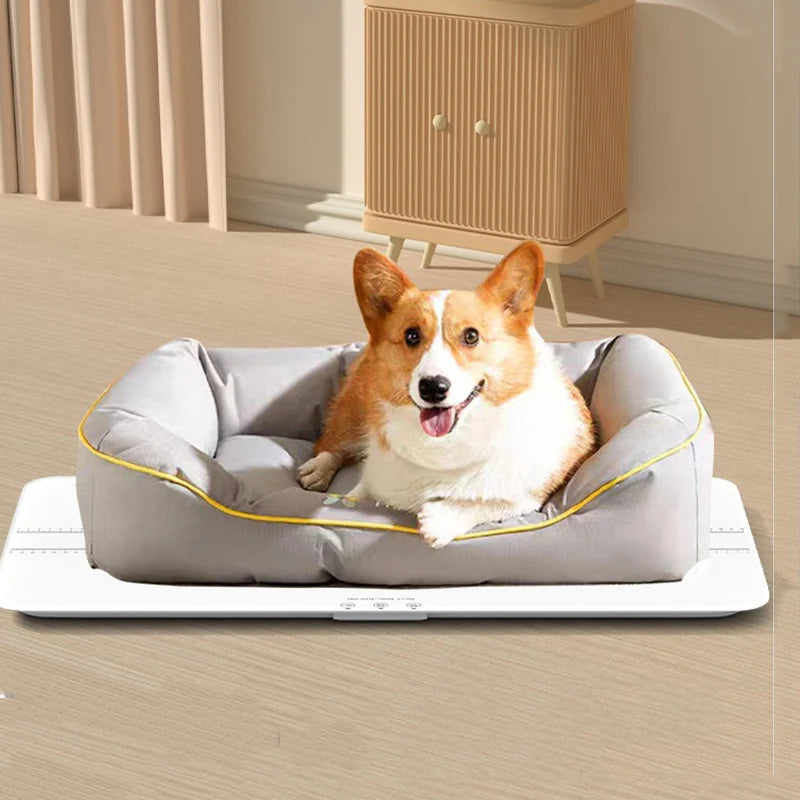 Large Pet Scale