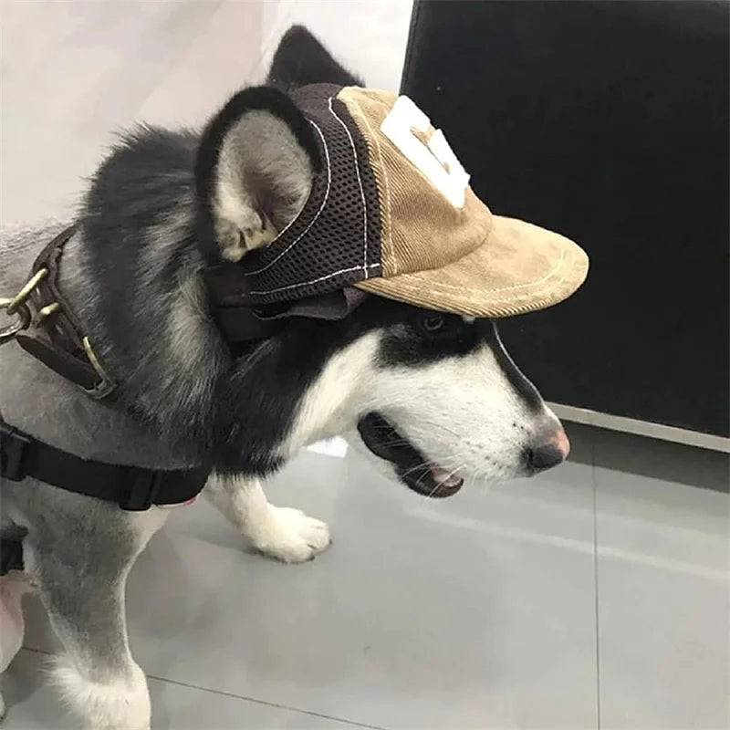 Adjustable Pet Hat