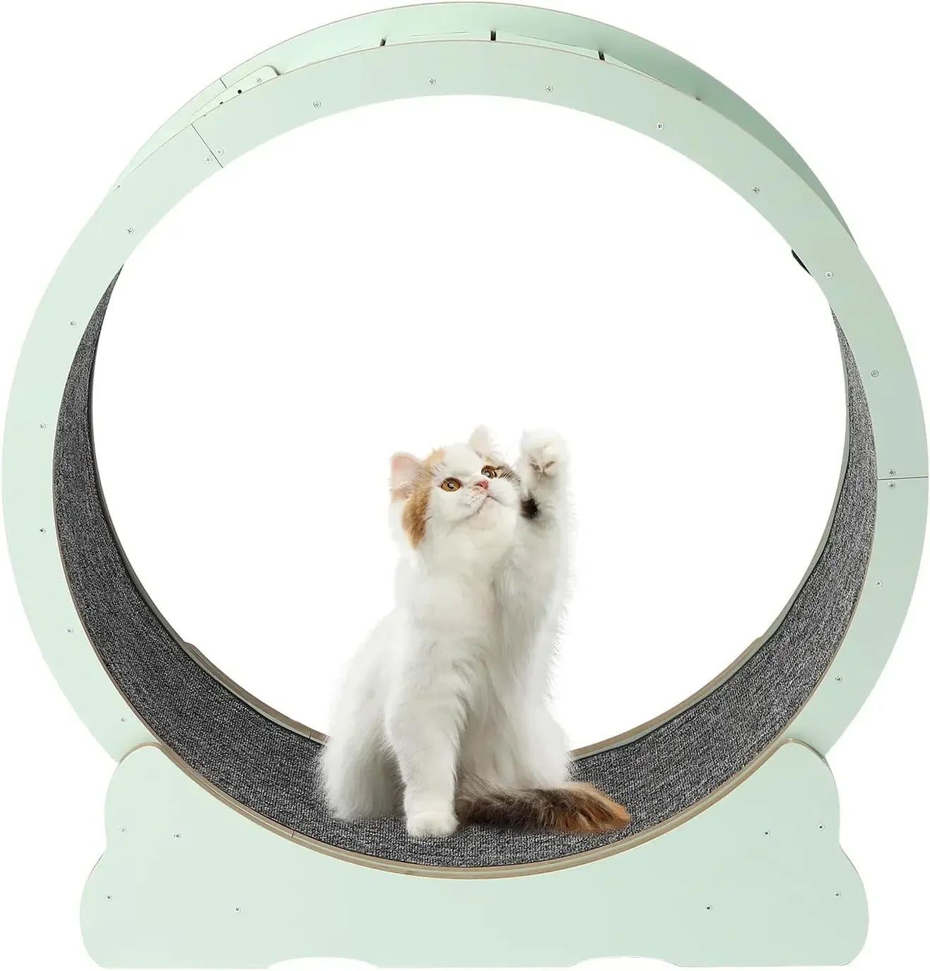 Exercise Wheel Cat Treadmill