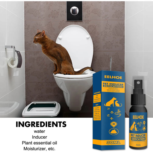 Dog Cat Pet Training Defecation