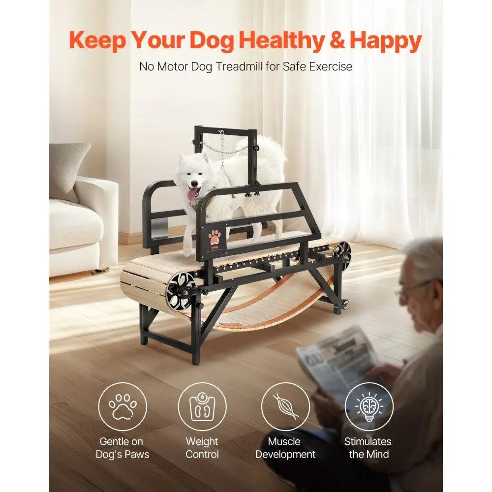 Heavy Duty Dog Treadmill