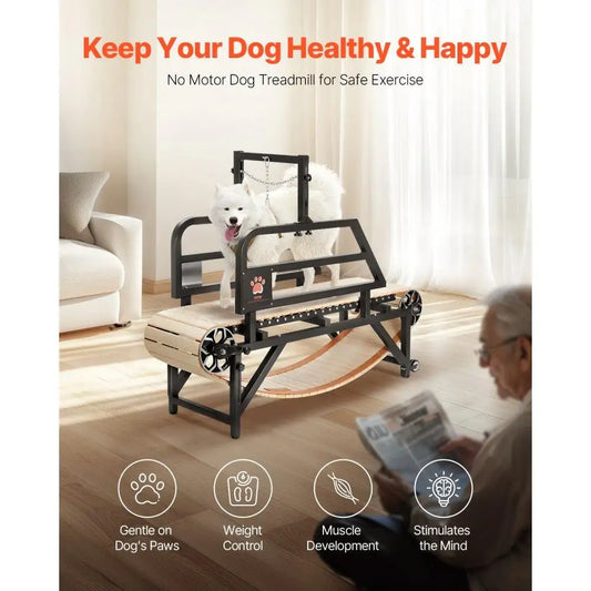 Heavy Duty Dog Treadmill