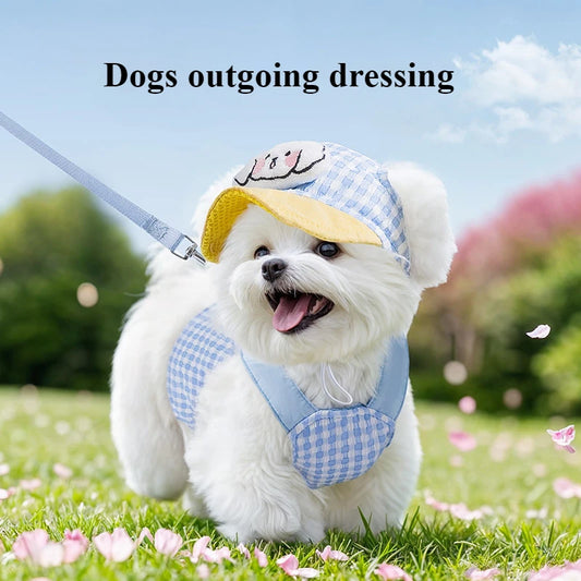 Summer Dog Wear