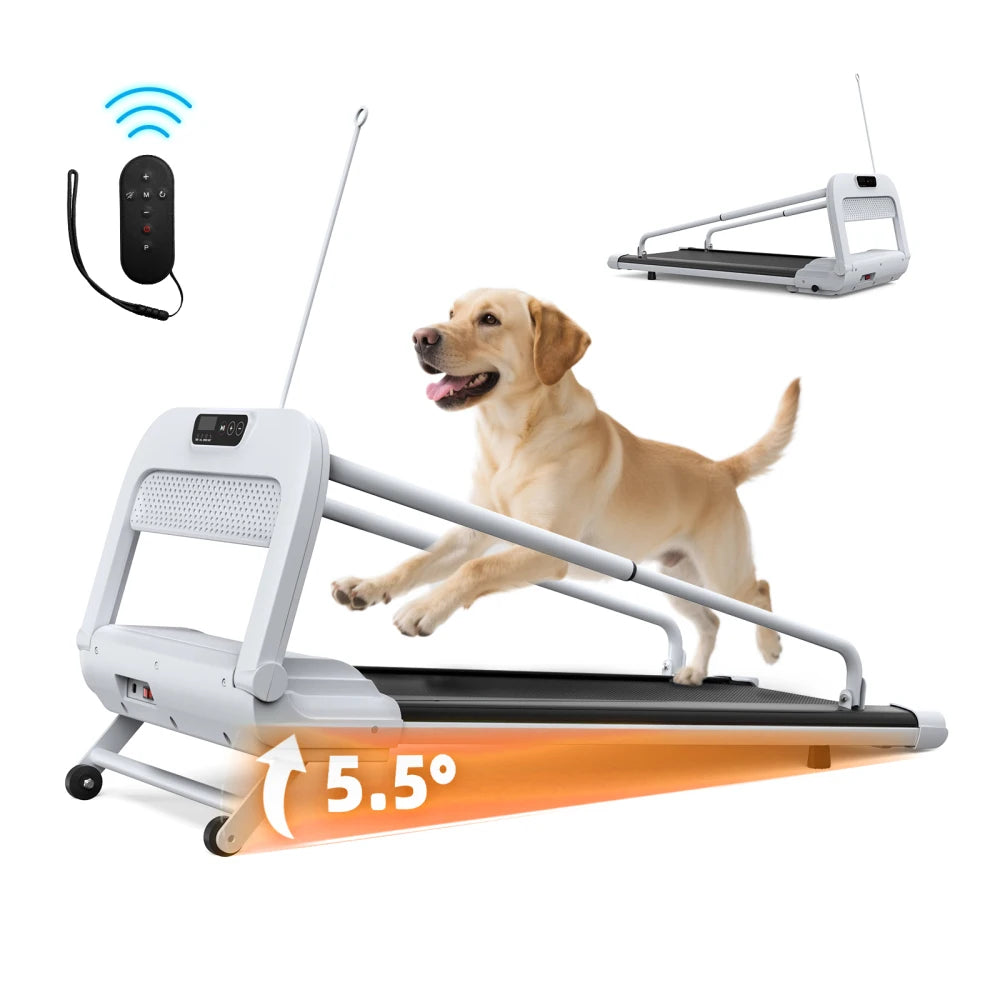 Pet Treadmill