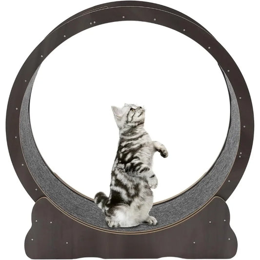 Exercise Wheel Cat Treadmill