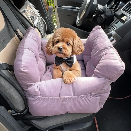 Car Seat Travel Backpack