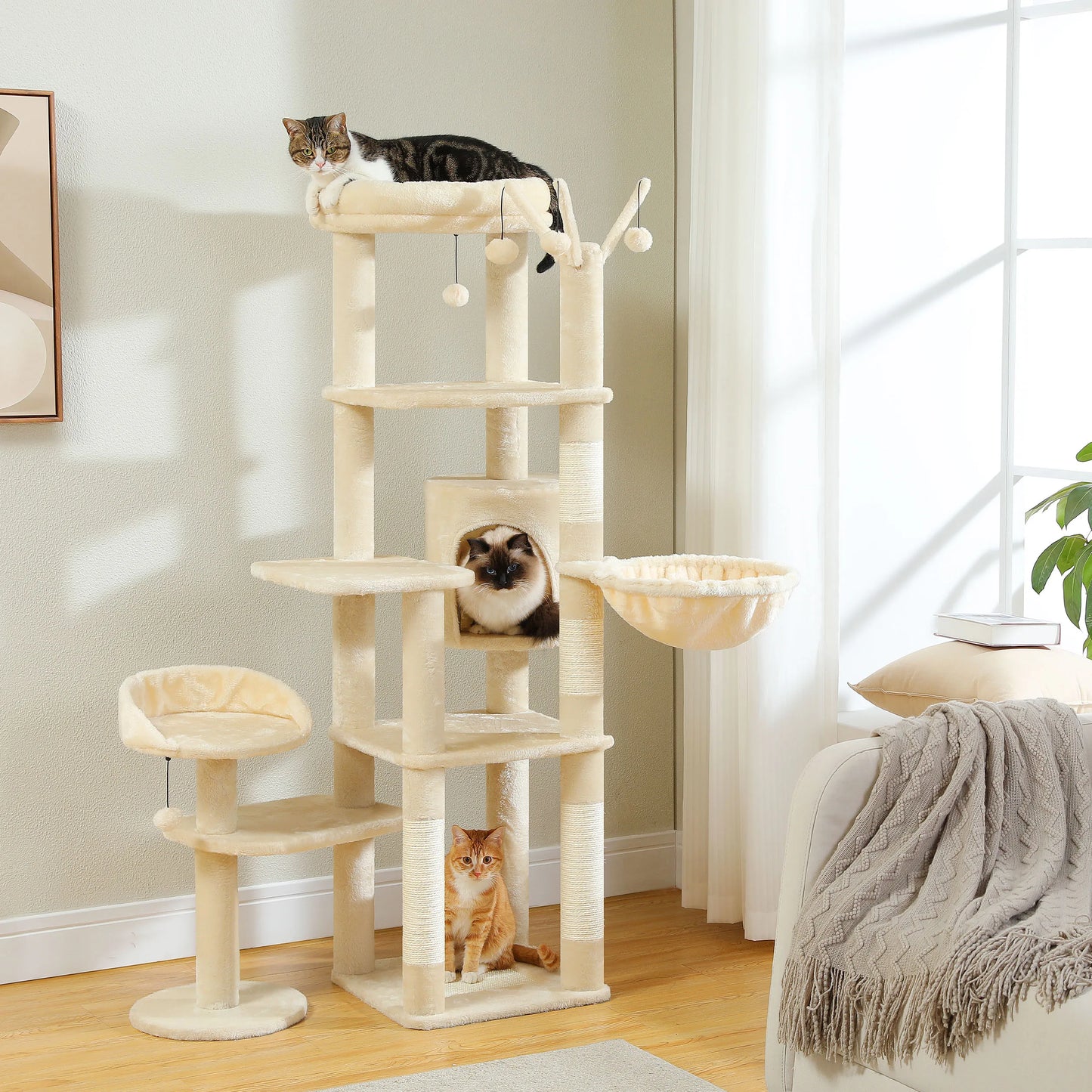 Multi-Level Cat Tree