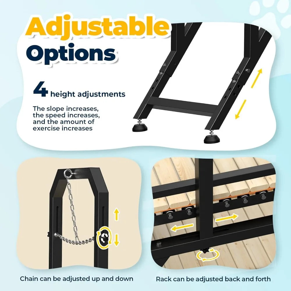 69" Dog Treadmill