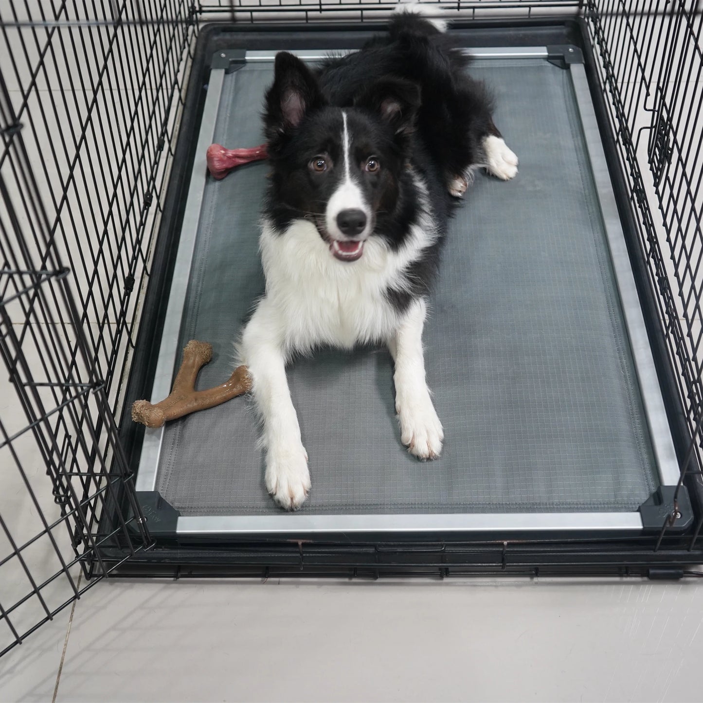 Padded Dog Bed For Crate