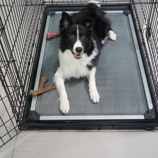 Padded Dog Bed For Crate