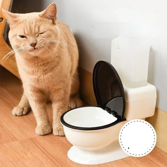 Water Dispenser