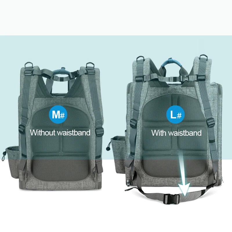 Pet Travel Carrier