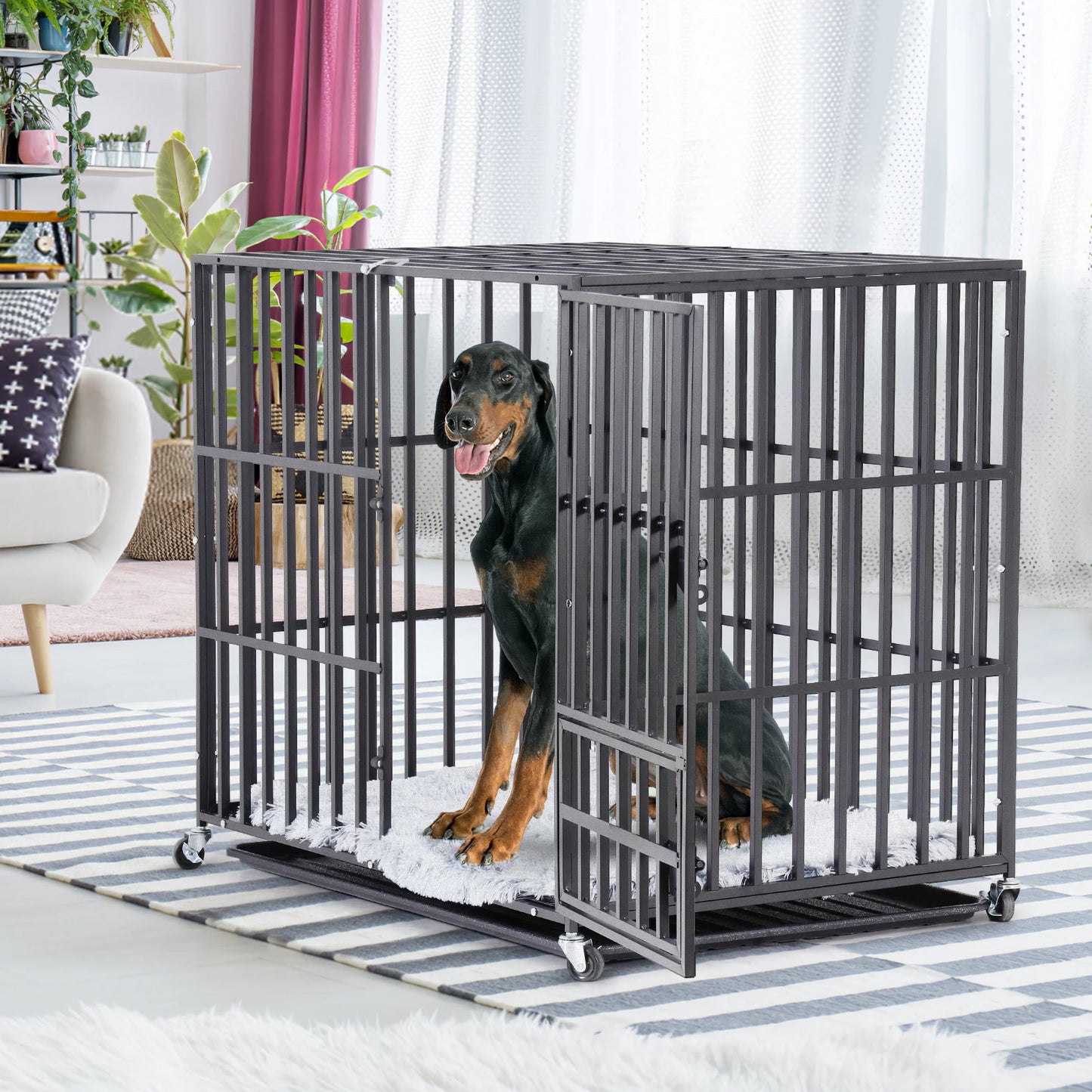 Metal Pet Kennel
