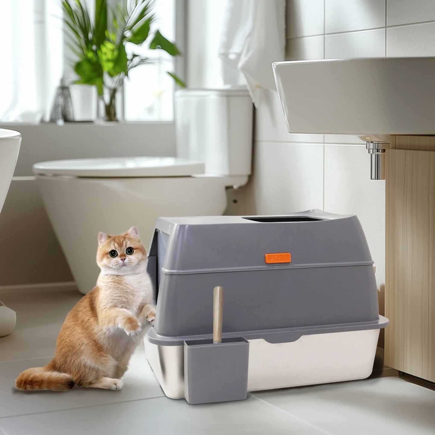 Cat Litter Box with Lid