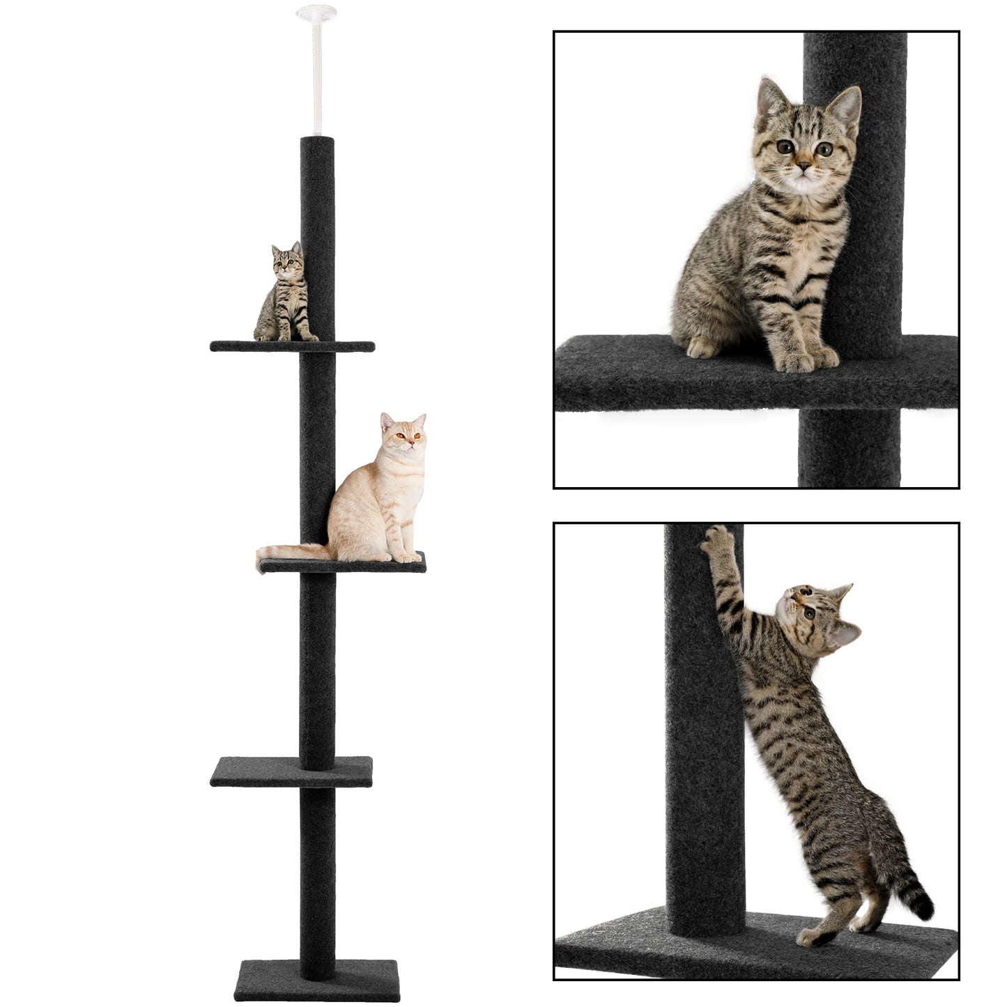 Adjustable Height Cat Tree