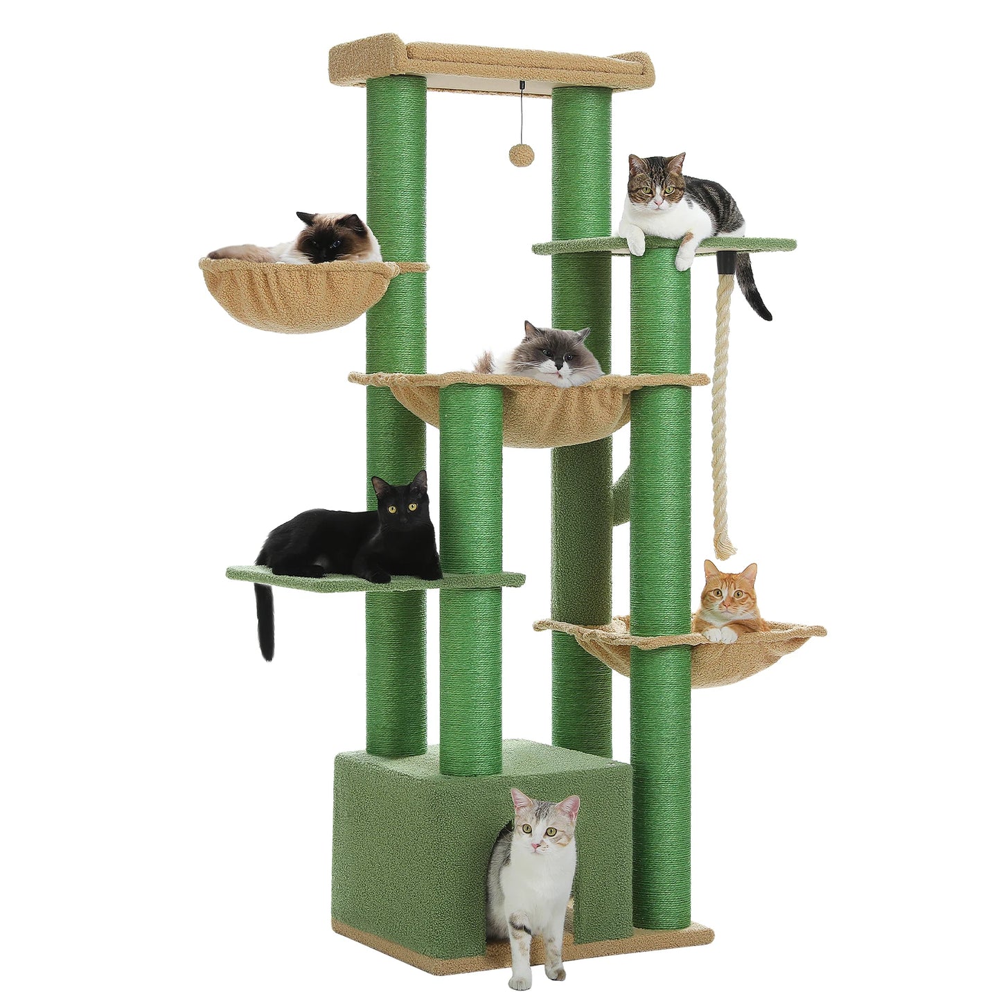 Multi-Level Cat Tree