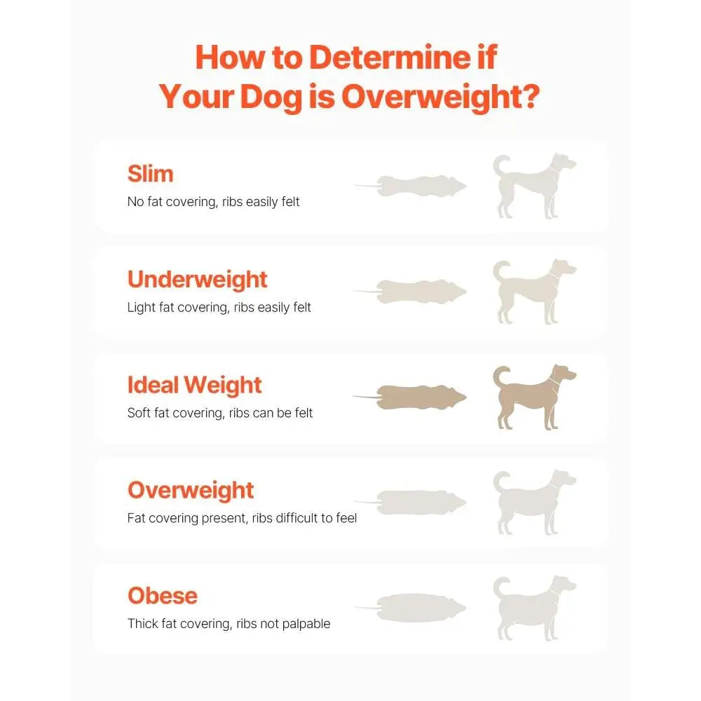 Heavy Duty Dog Treadmill