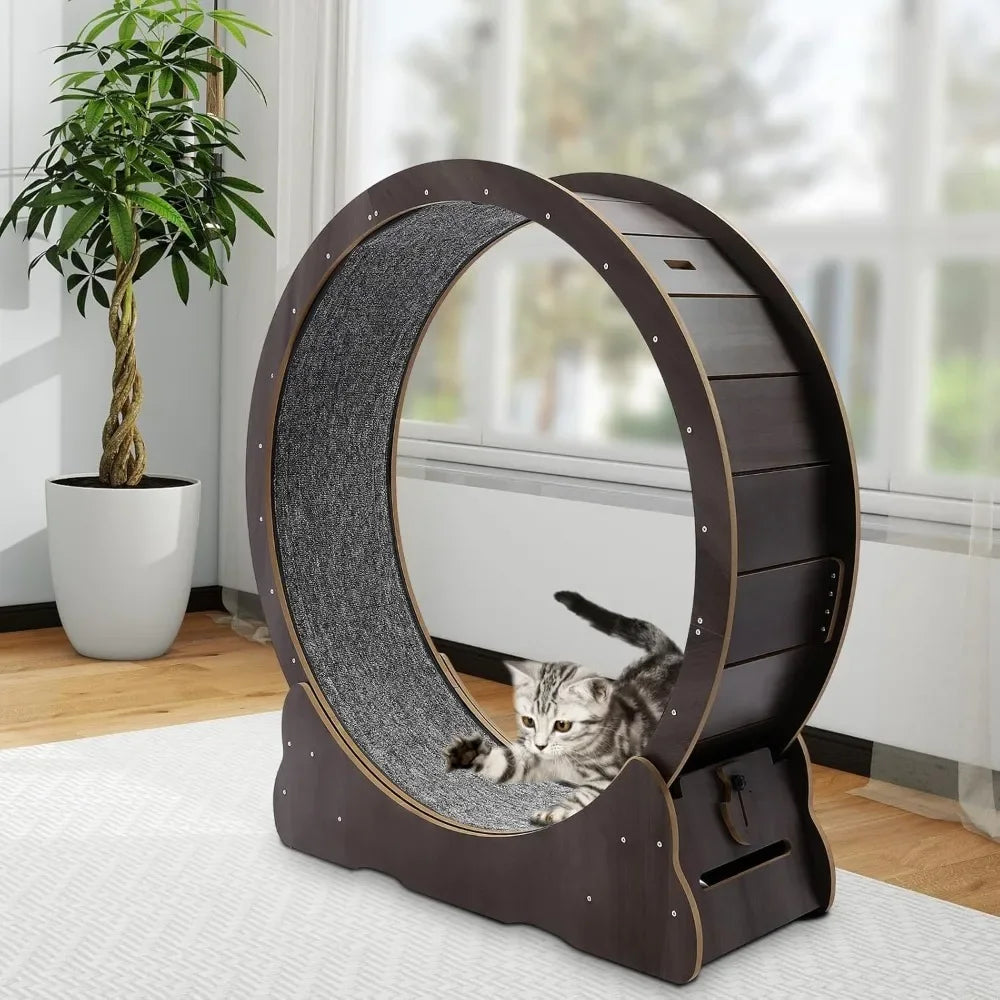 Exercise Wheel Cat Treadmill
