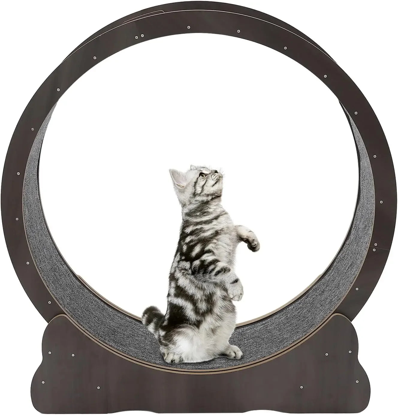 Exercise Wheel Cat Treadmill
