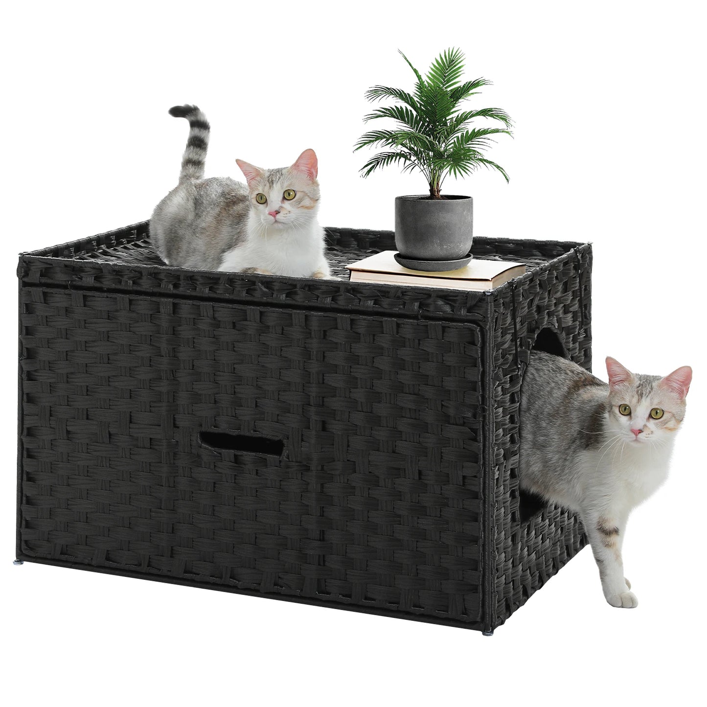Cat Litter Box