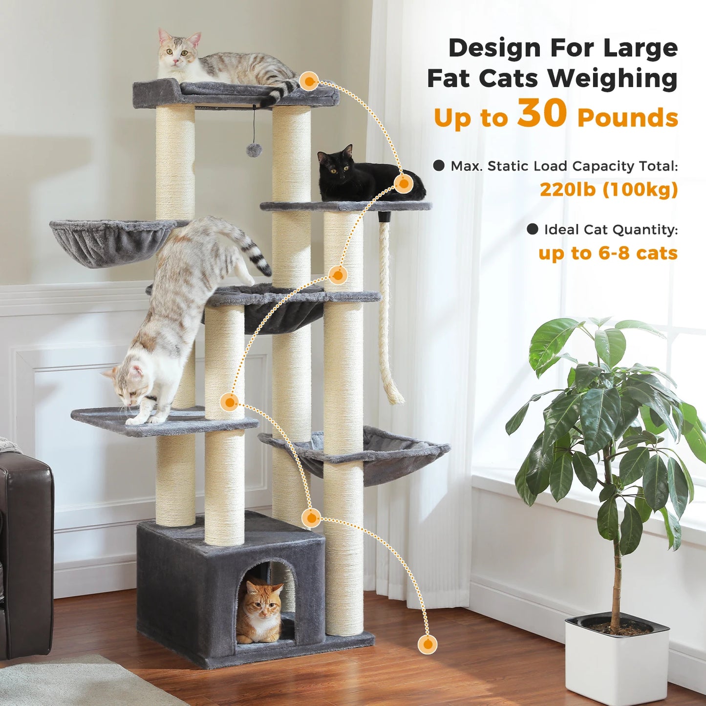 Multi-Level Cat Tree