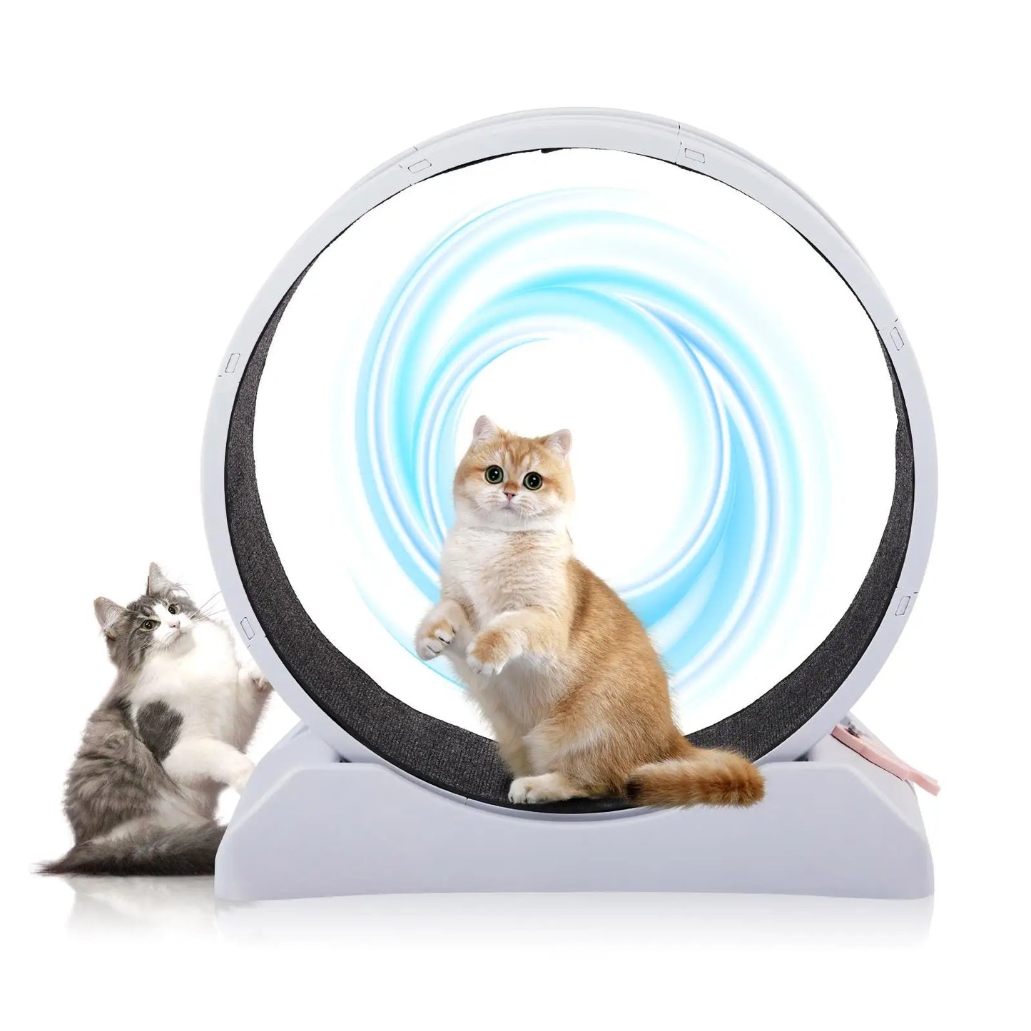 Cat Exercise Wheel