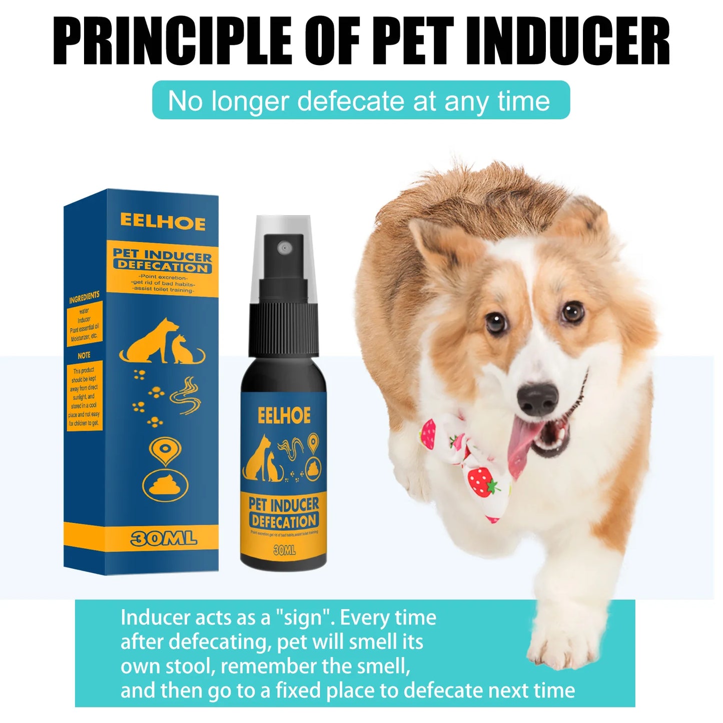 Dog Cat Pet Training Defecation