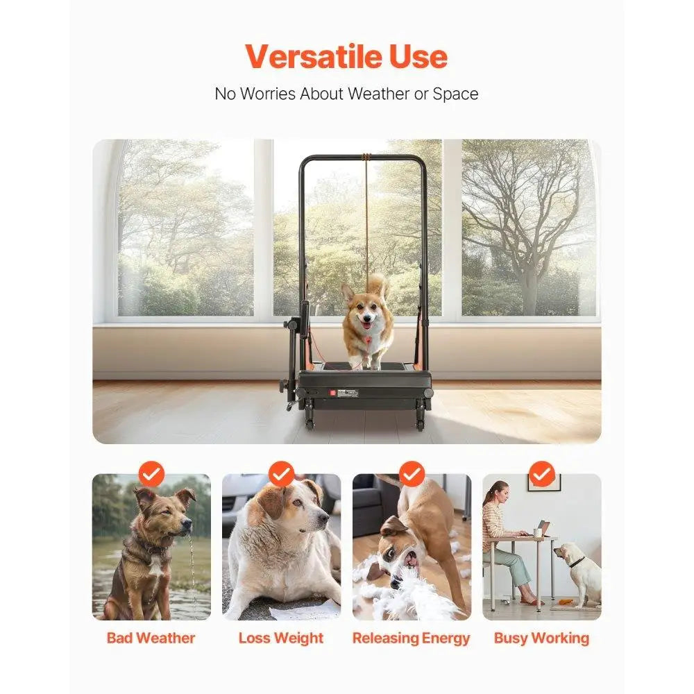 Electric Dog Treadmill  medium Dogs For Training