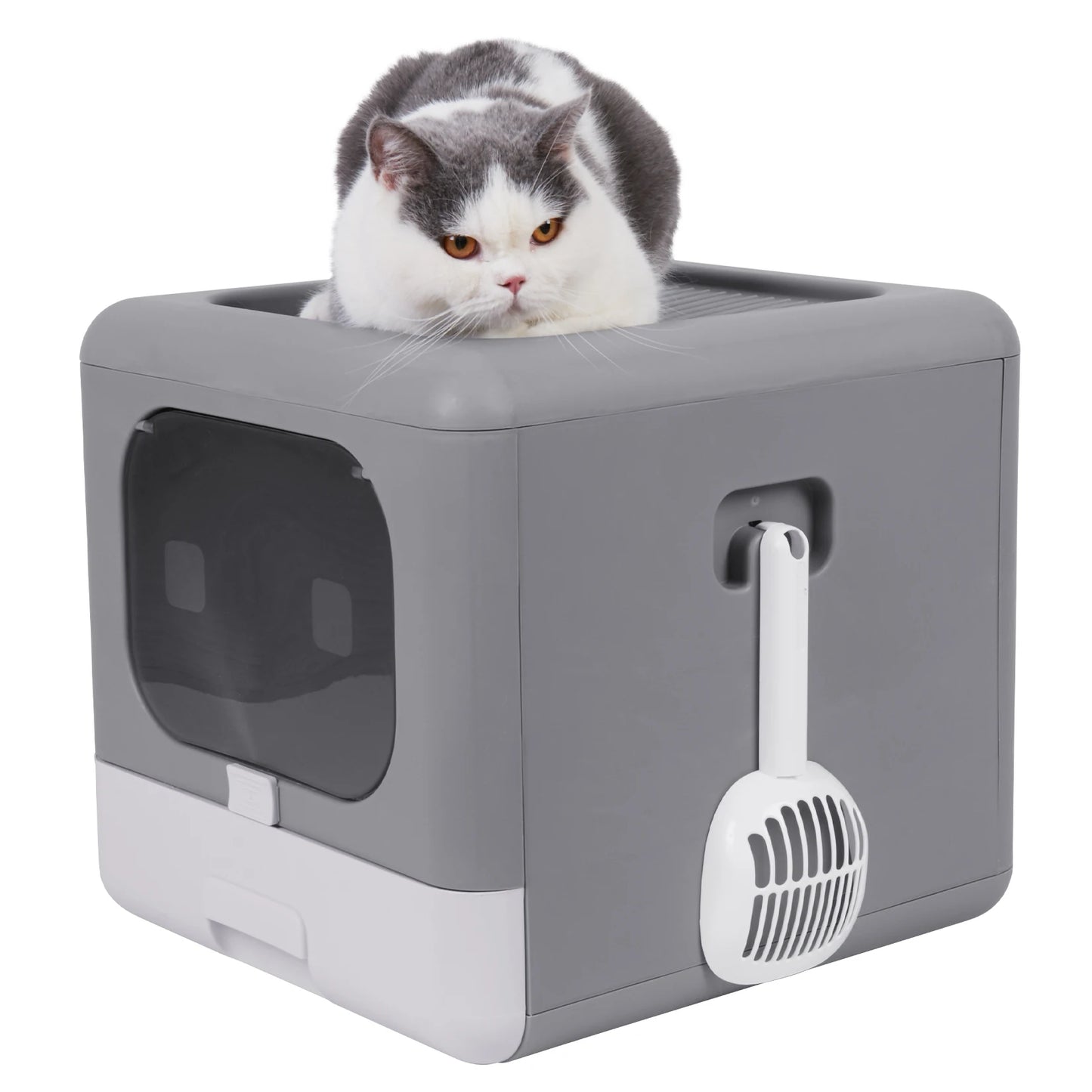 Cat Litter Box with Lid